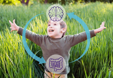 Autism and the Gut-Brain Axis