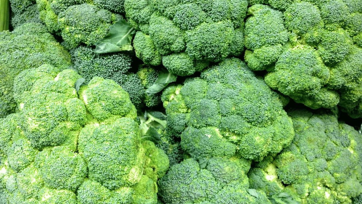 Broccoli