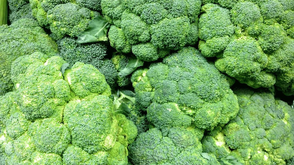 Broccoli Sprouts and Autism Aspire Nutrition