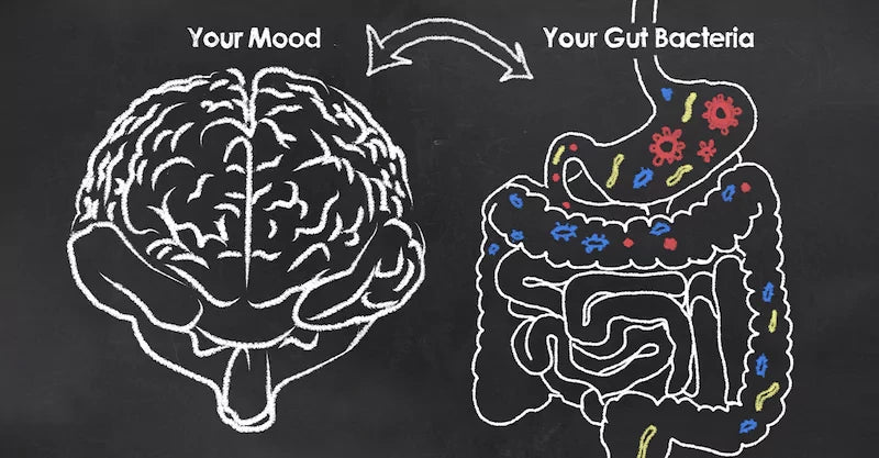 mood-gut-brain-balance-connection-axis
